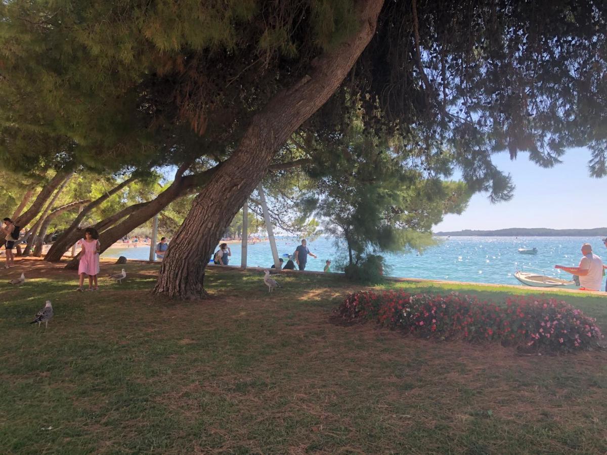Istrian Stone House In The Heart Of The Beautiful Fishing Village Fazana - Only Few Steps From The Sea And The Wonderful Beach - Incl Plasma-Quad-Plus-Filter Against C O V I D Экстерьер фото